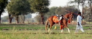 Prince Malik Aktta